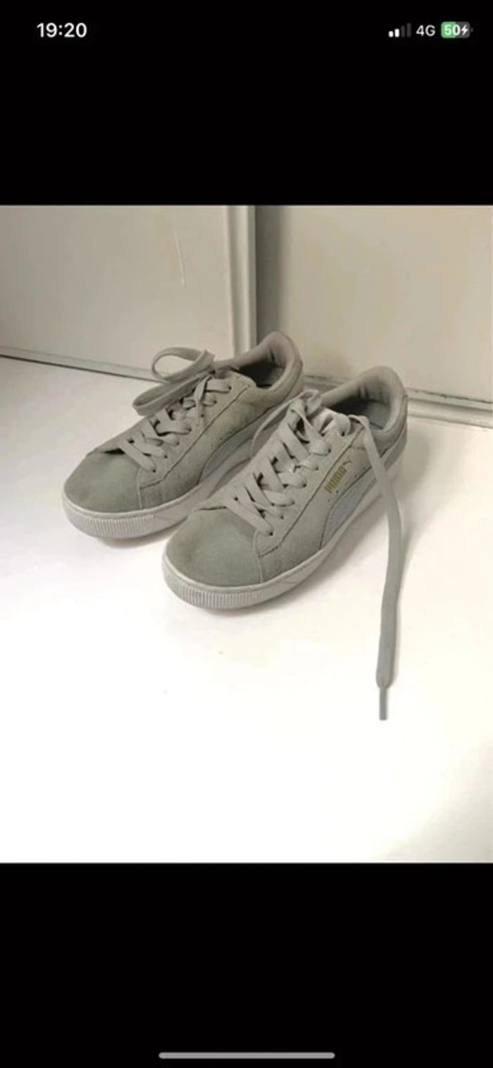 Puma kaki clair