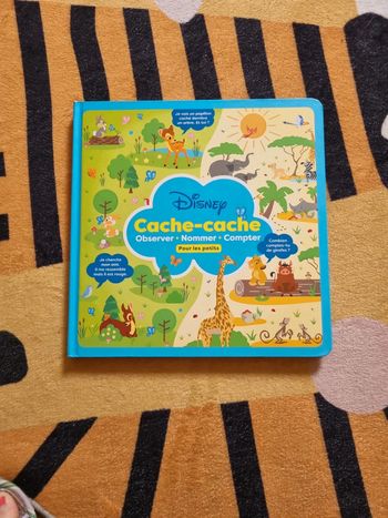 Livre cherche et trouve