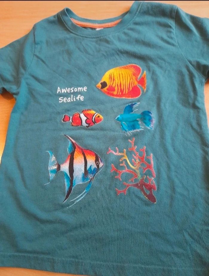 T-shirts manches courtes 6ans - photo numéro 12