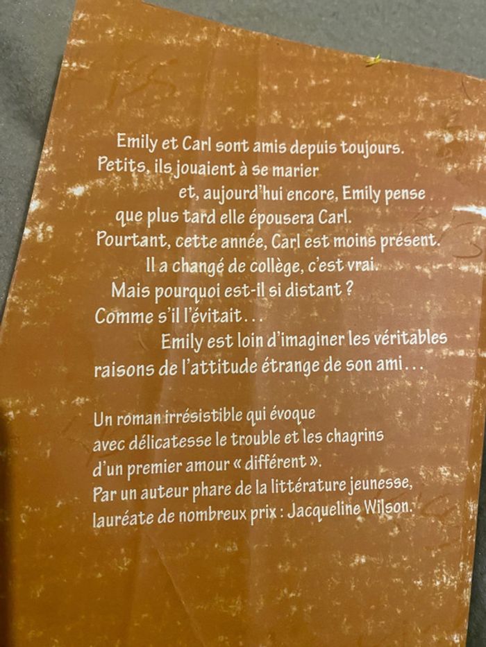 Livre kiss - photo numéro 4