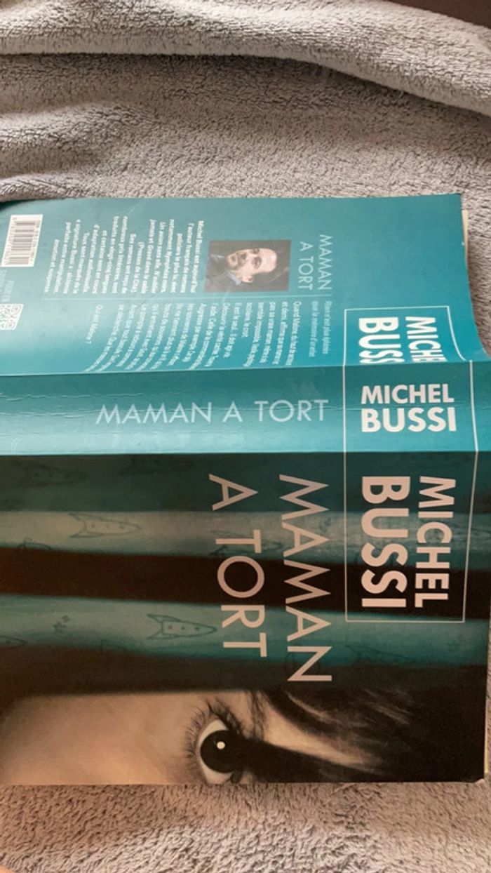 #maman à tort Michel Bussi - photo numéro 4