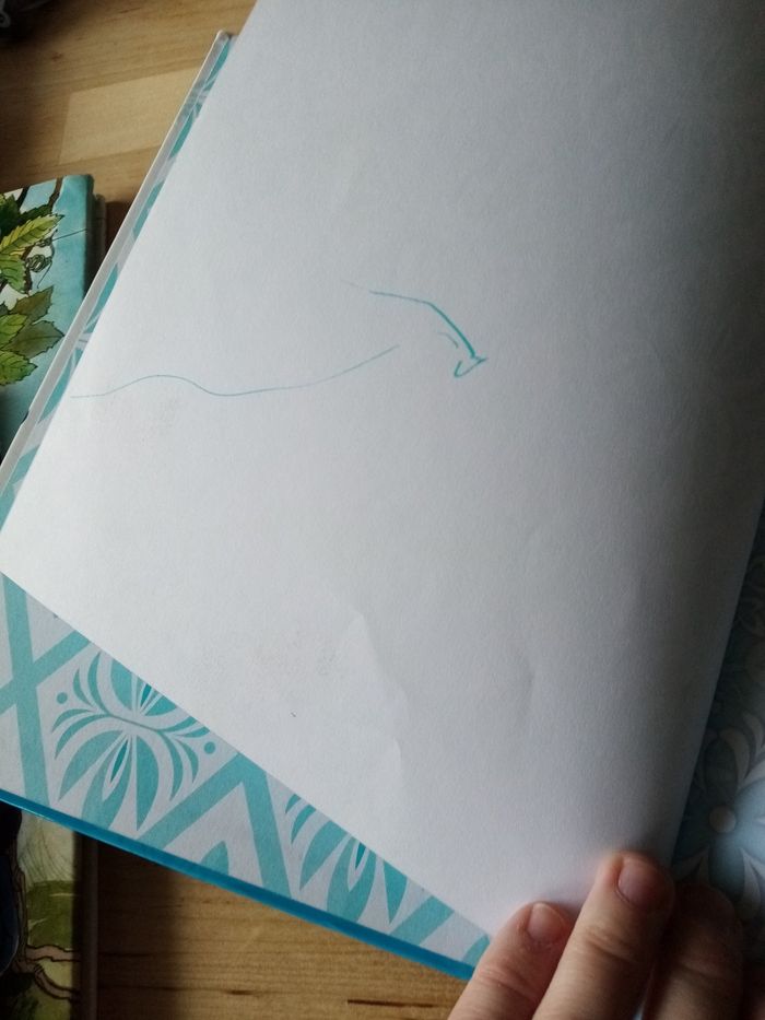 Guide la reine des neiges - photo numéro 2