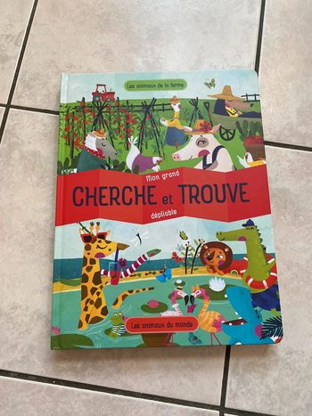 Livre cherche et trouve