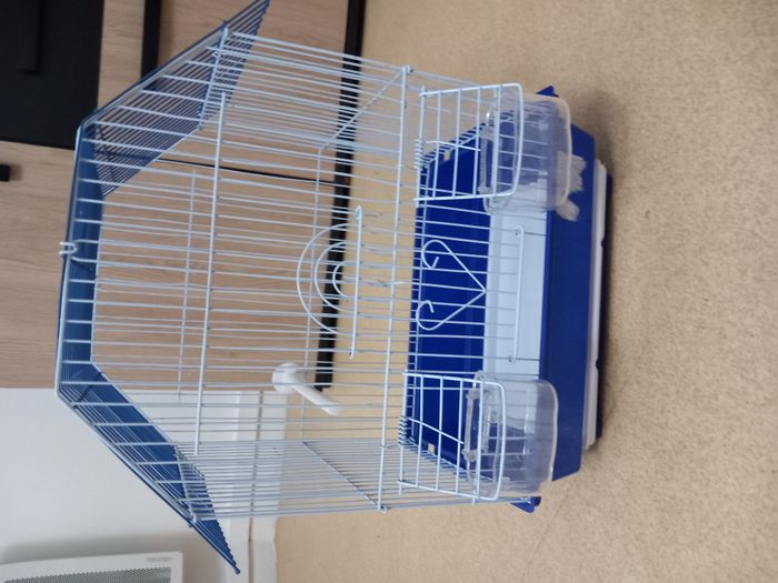Cage canari