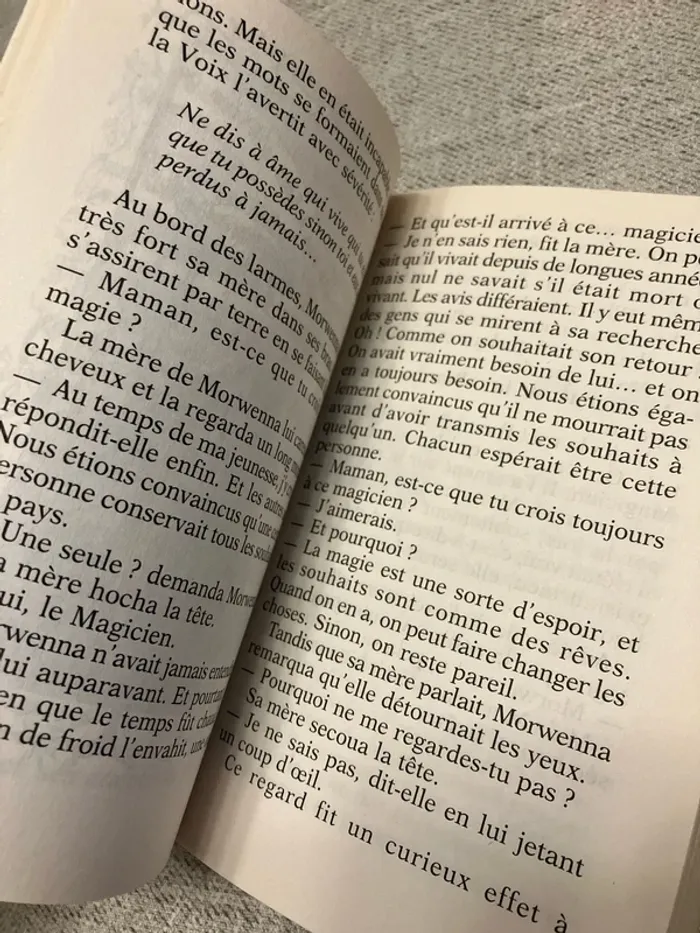 L’Héritier du magicien - AVI - photo numéro 5