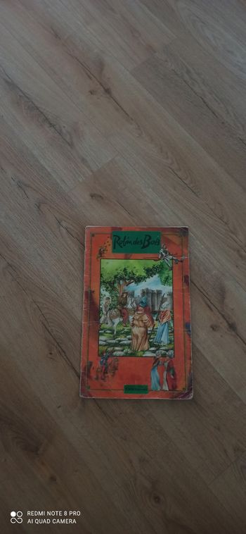 Livre geant Robin Des Bois