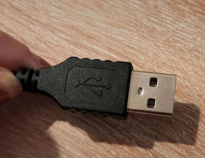 Souris à fil - photo numéro 4