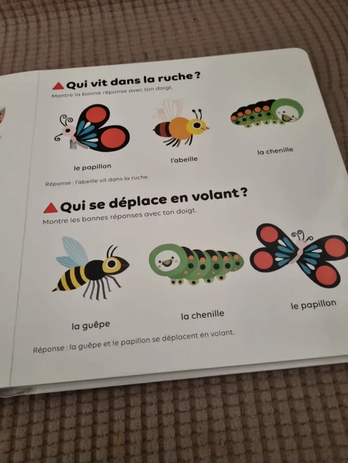 Livre "les petites bêtes " - photo numéro 8
