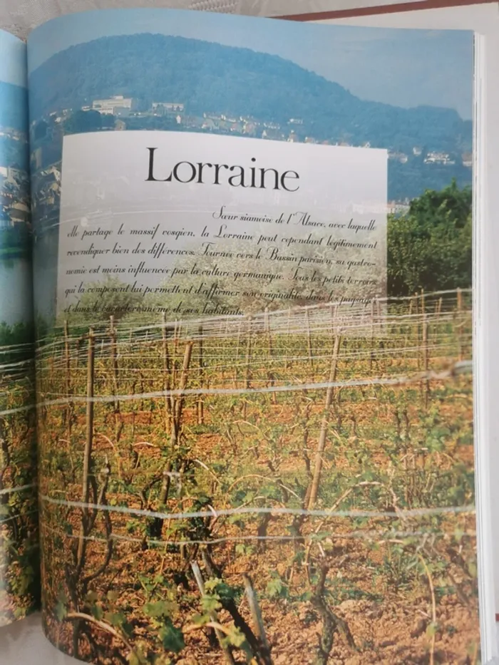 Livre "Saveurs et Terroirs de France - photo numéro 7