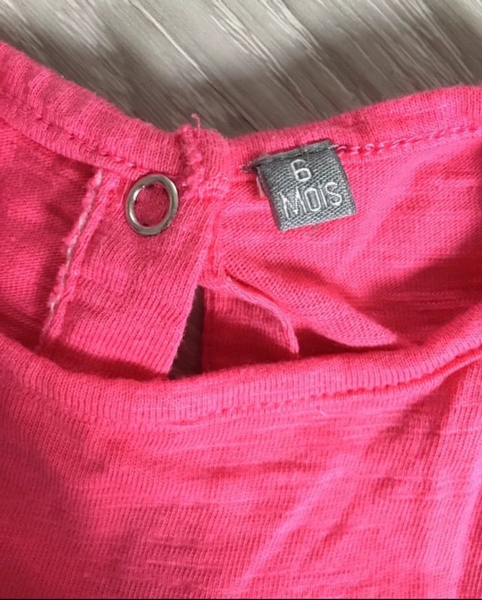 Ensemble coloré fruits - photo numéro 3