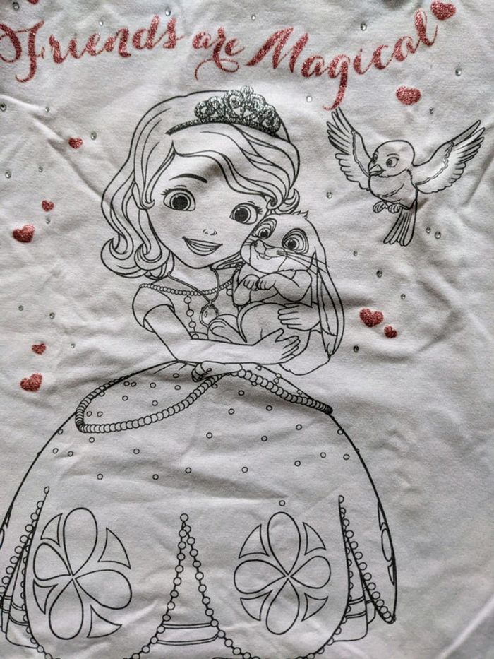 Top disney princesse - photo numéro 3