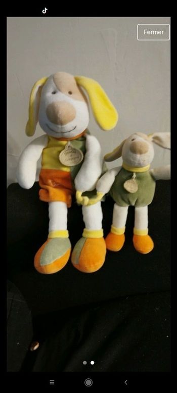 chiens doudou et compagnie