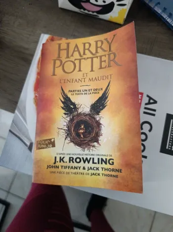 Harry Potter et l'enfant maudit