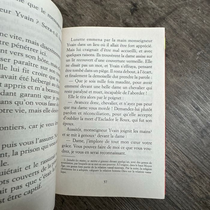 Yvain, le chevalier au lion - photo numéro 8