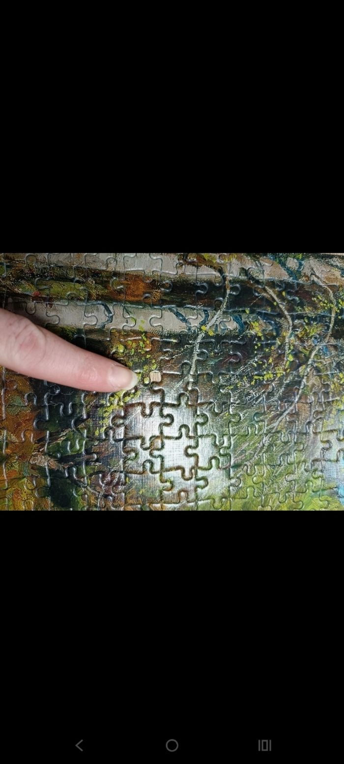 Puzzle - photo numéro 4