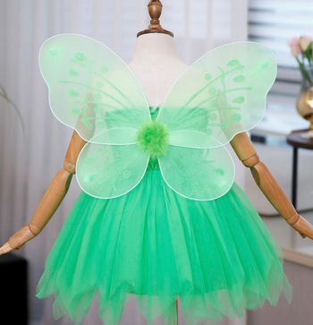 Déguisement robe princesse verte et ces ailes de papillon Taille 3-4ans