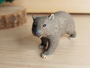 Schleich Rongeur  Wombat Figurine Animal de la savane