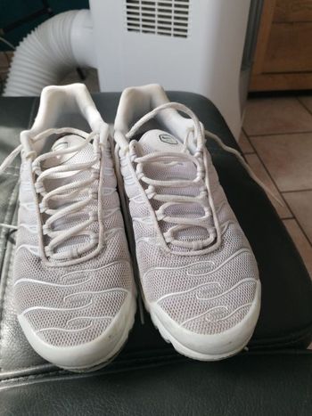 TN blanche