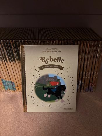 Livre Disney, mes petits livres d’or rebelle