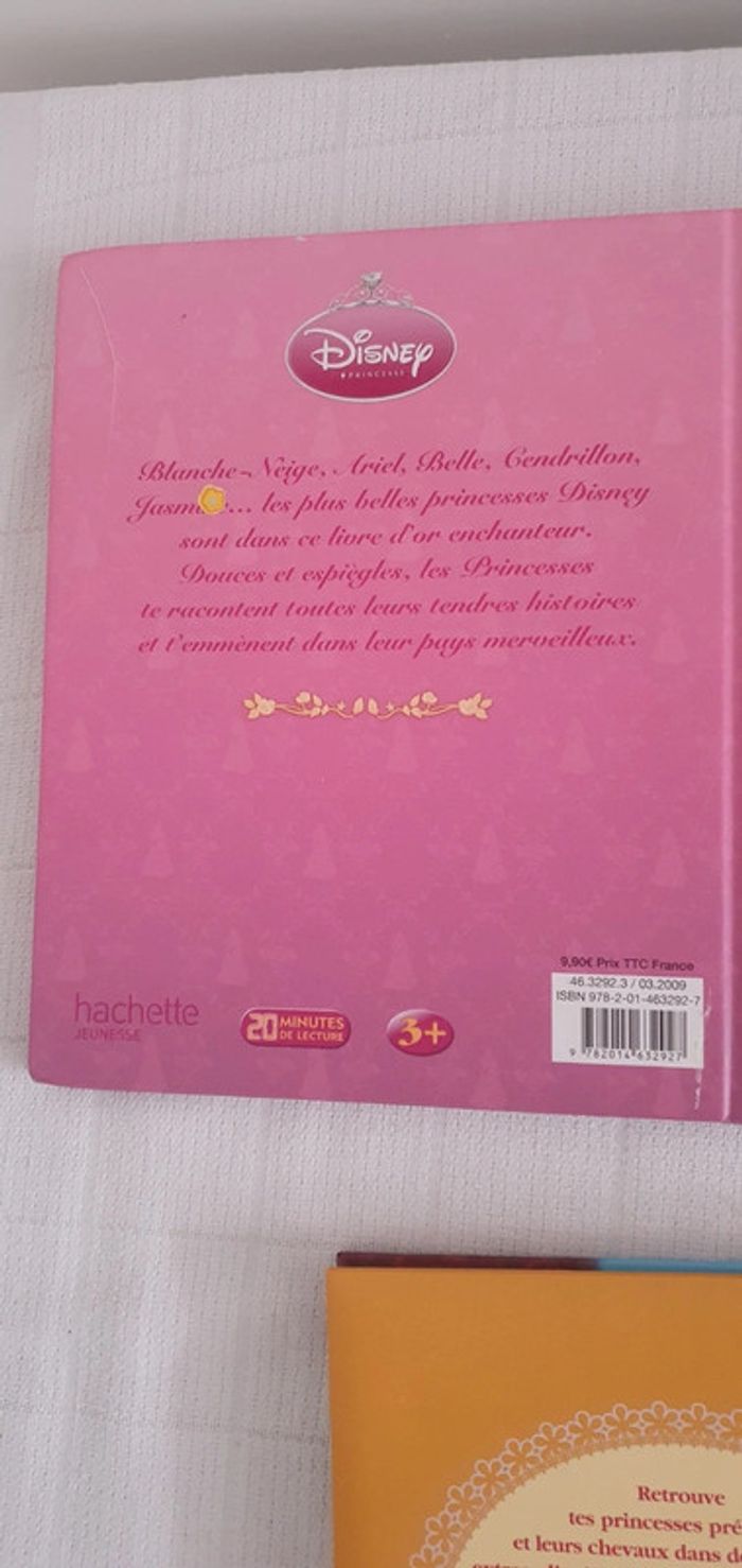 Livres Princesses Disney Idéal cadeau de Noel Cherche et Trouve et histoires - photo numéro 12