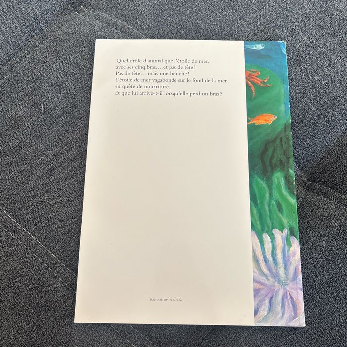 Une étoile est née - photo numéro 3