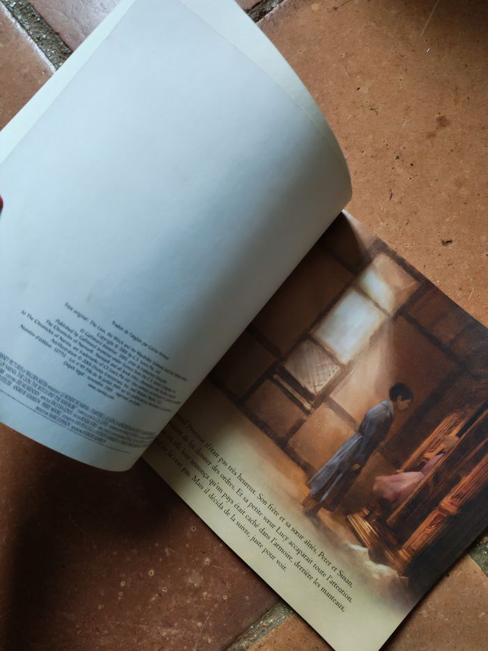 Le Monde de Narnia, chapitre 1 Edmund et la Sorcière Blanche - photo numéro 3