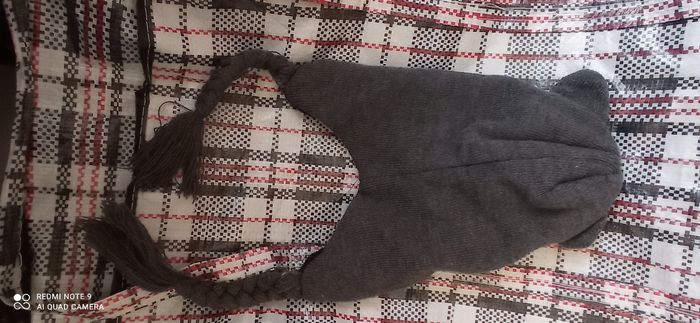 Bonnet renard - photo numéro 3