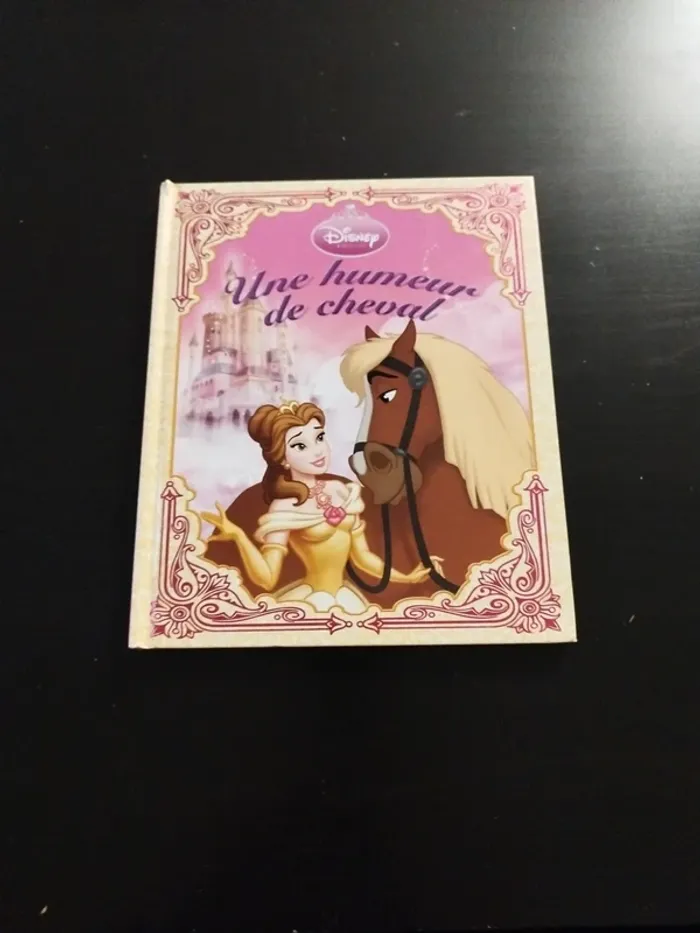 Lot 3 livres Disney princesses et chevaux - photo numéro 8