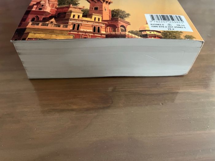 Le Fleuve des Dieux Ian Mc Donald Denoël - photo numéro 5