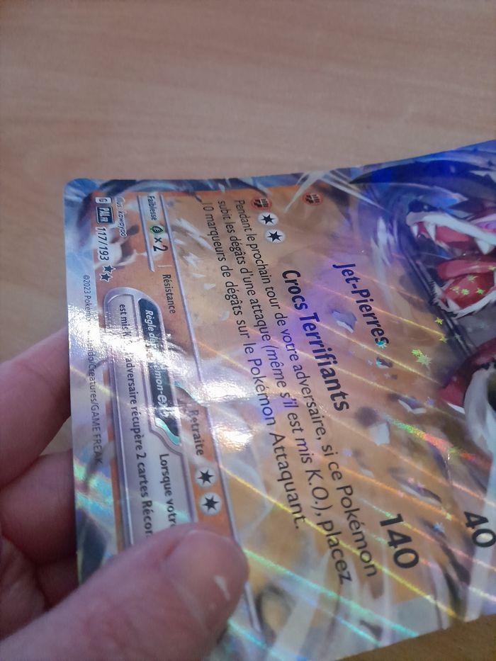 Grandes cartes pokemon - photo numéro 9