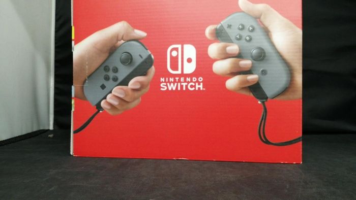 Nintendo - photo numéro 4