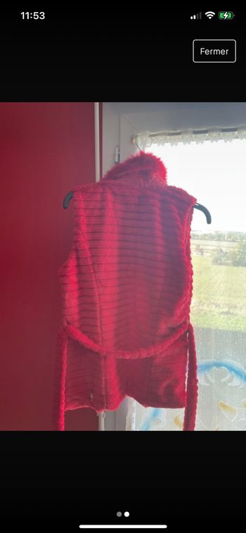 Fourrure sans manche