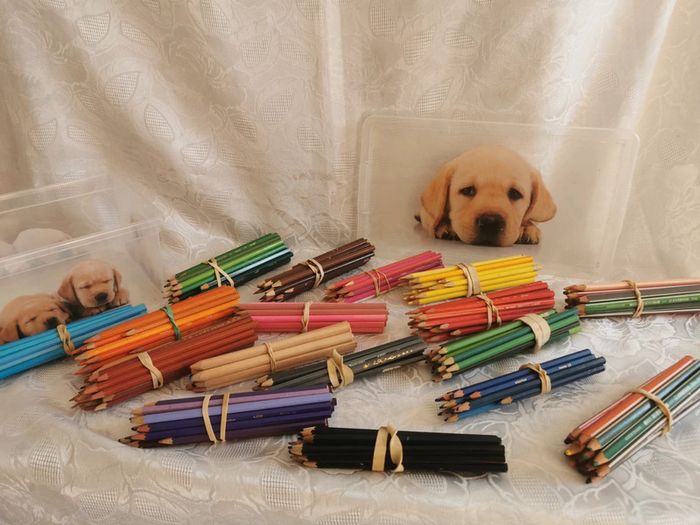 Énorme lot ~250 crayons de couleur + boîte hermétique chiots | Multimarques - photo numéro 3