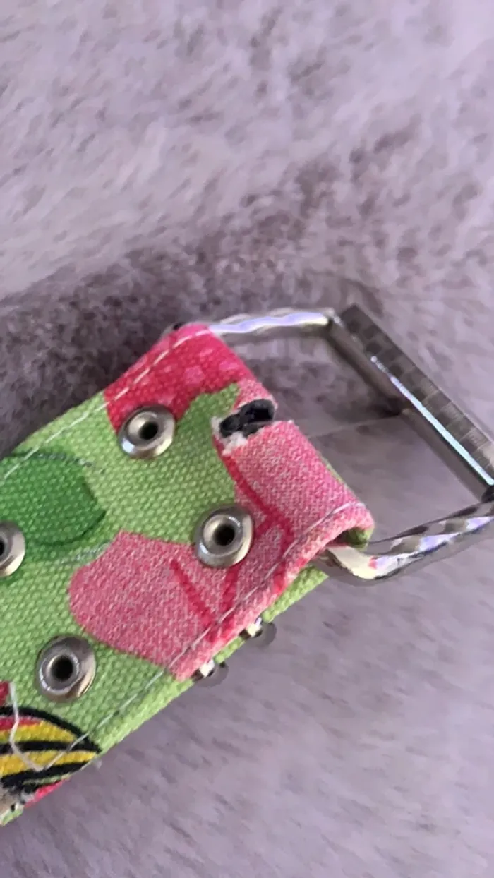 Ceinture neuve - photo numéro 6