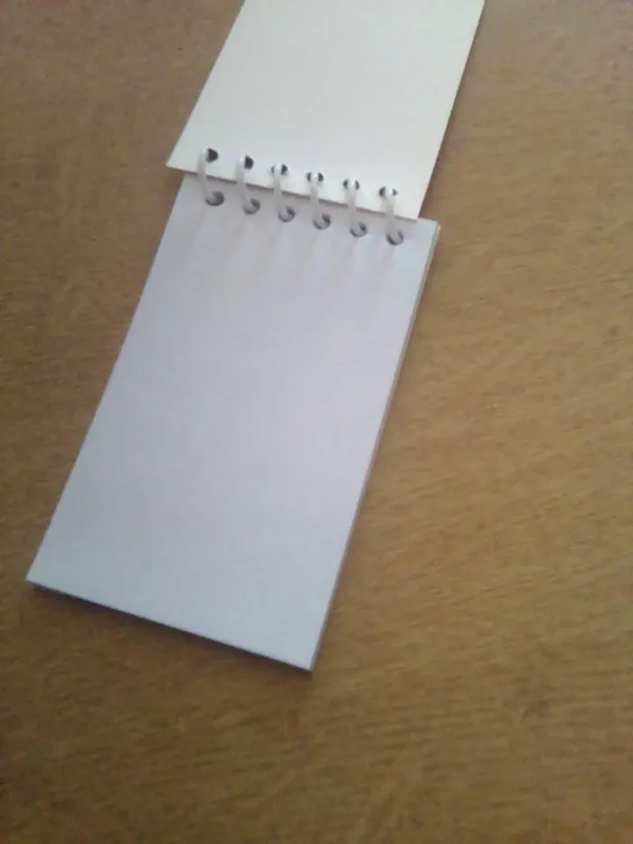 Carnet - photo numéro 2