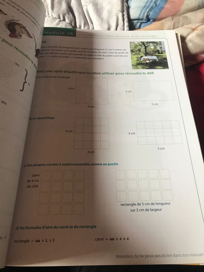 Tatou 5 math plantyn - photo numéro 3