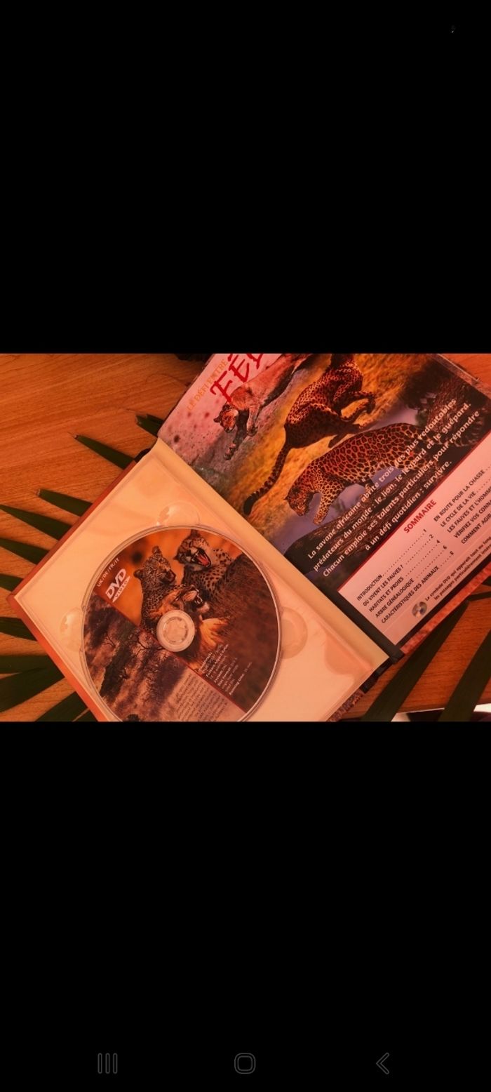 DVD felins - photo numéro 3