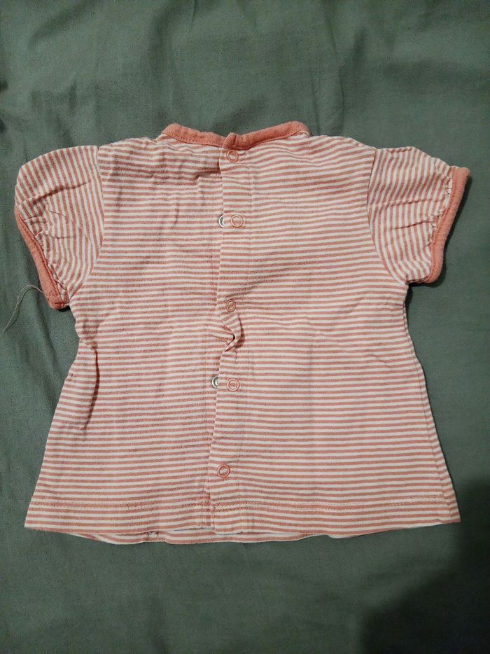 Bodie Winnie _ 3 mois - photo numéro 3