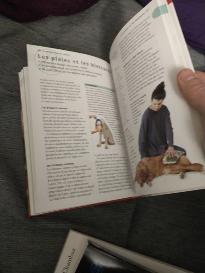 Le guide de référence du chien par docteur Bruce folge - photo numéro 12