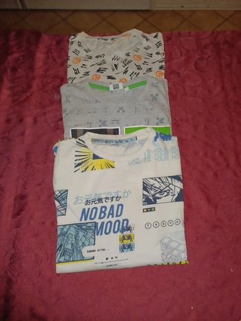 Lot 3 tee shirt 12 ans
