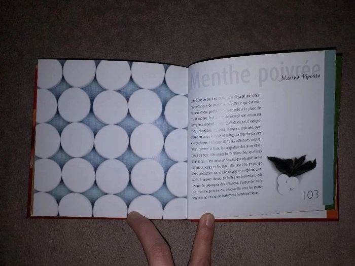 Livre Les huiles essentielles - photo numéro 6