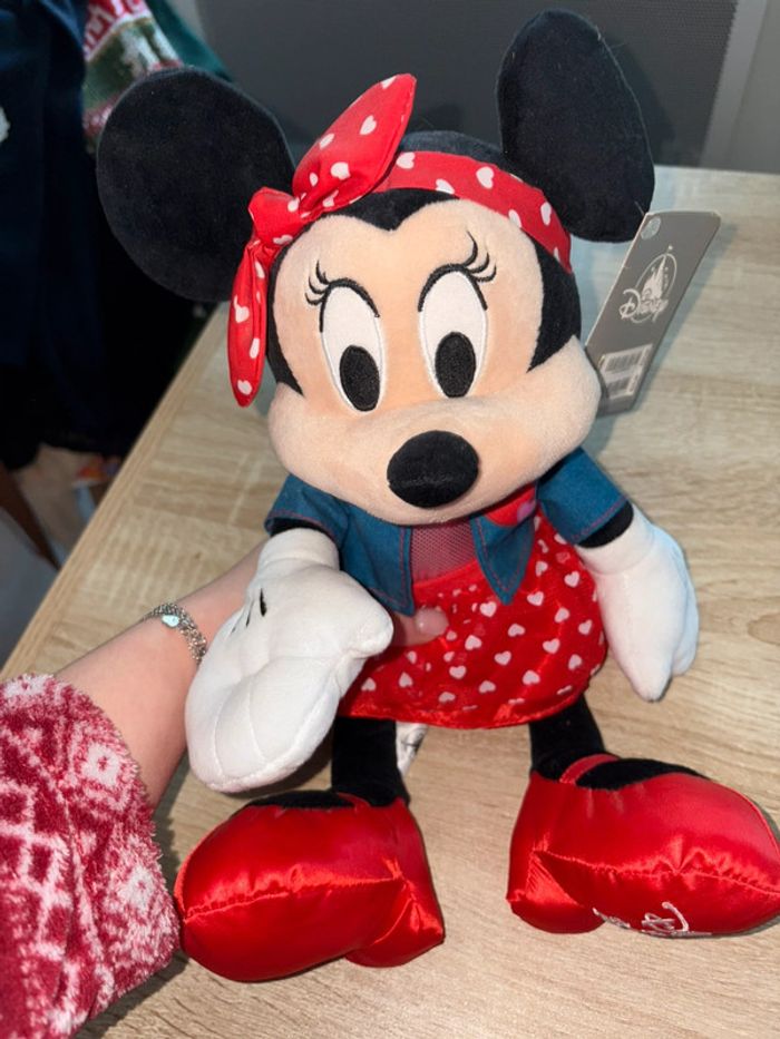 Minnie saint Valentin - photo numéro 2