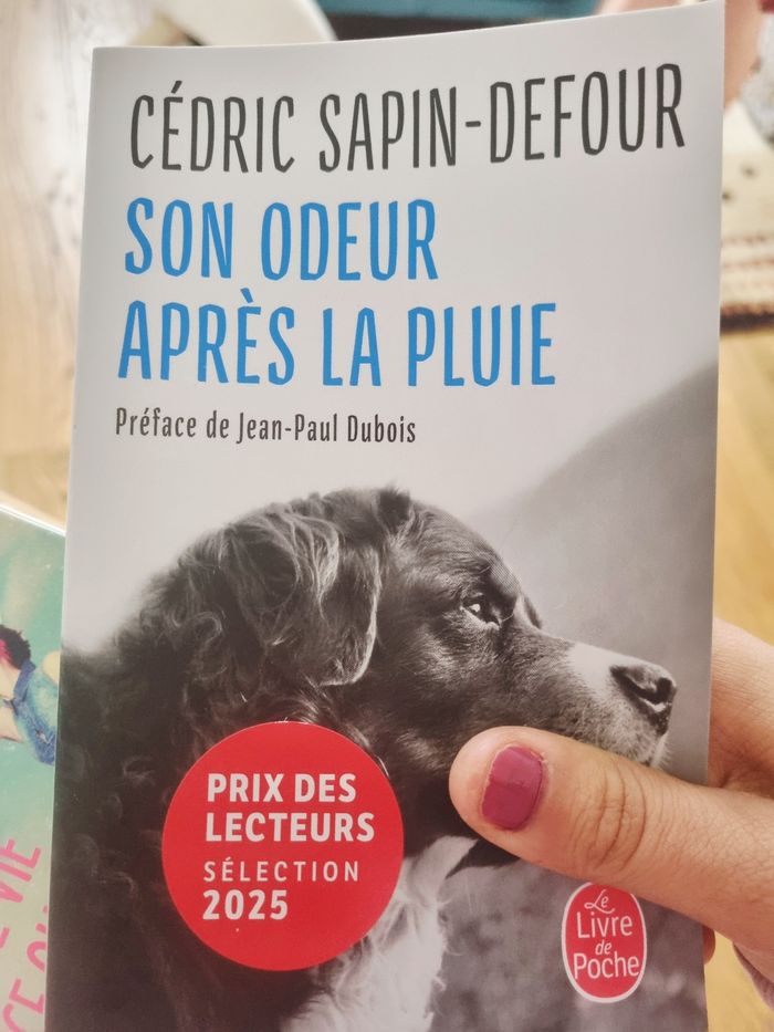 Lot deux romans - photo numéro 3