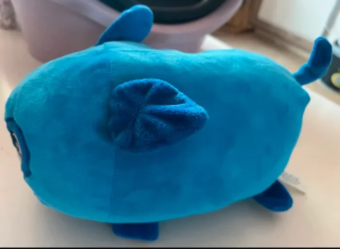 Grodou chien bleu - photo numéro 2