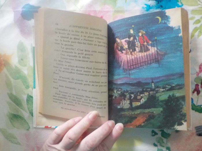 2 bibliothèque rose La Belle au bois dormant et L'Apprentie sorcière - photo numéro 11