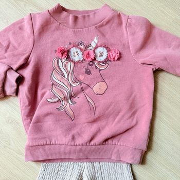 Ensemble fille 2/3 ans – pull C&A 98 cm + legging Zara