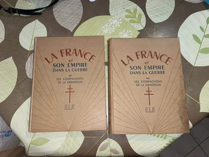 2 livre guerre « La France et son empire dans la guerre ou les compagnons de la grandeur »