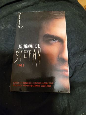 Journal de Stefan tome 2