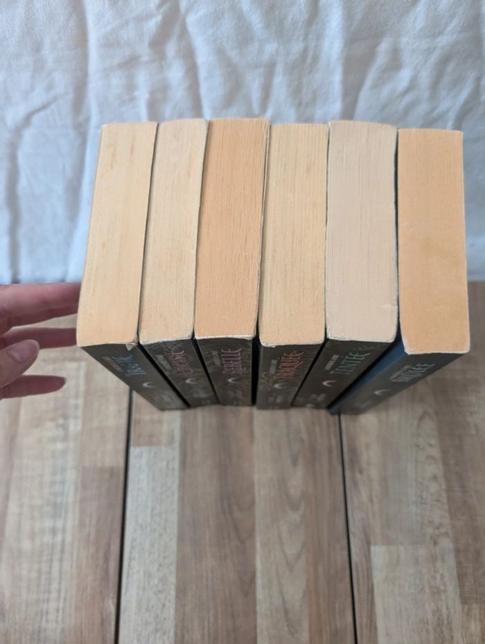 Lot livres La maison de la nuit - photo numéro 14