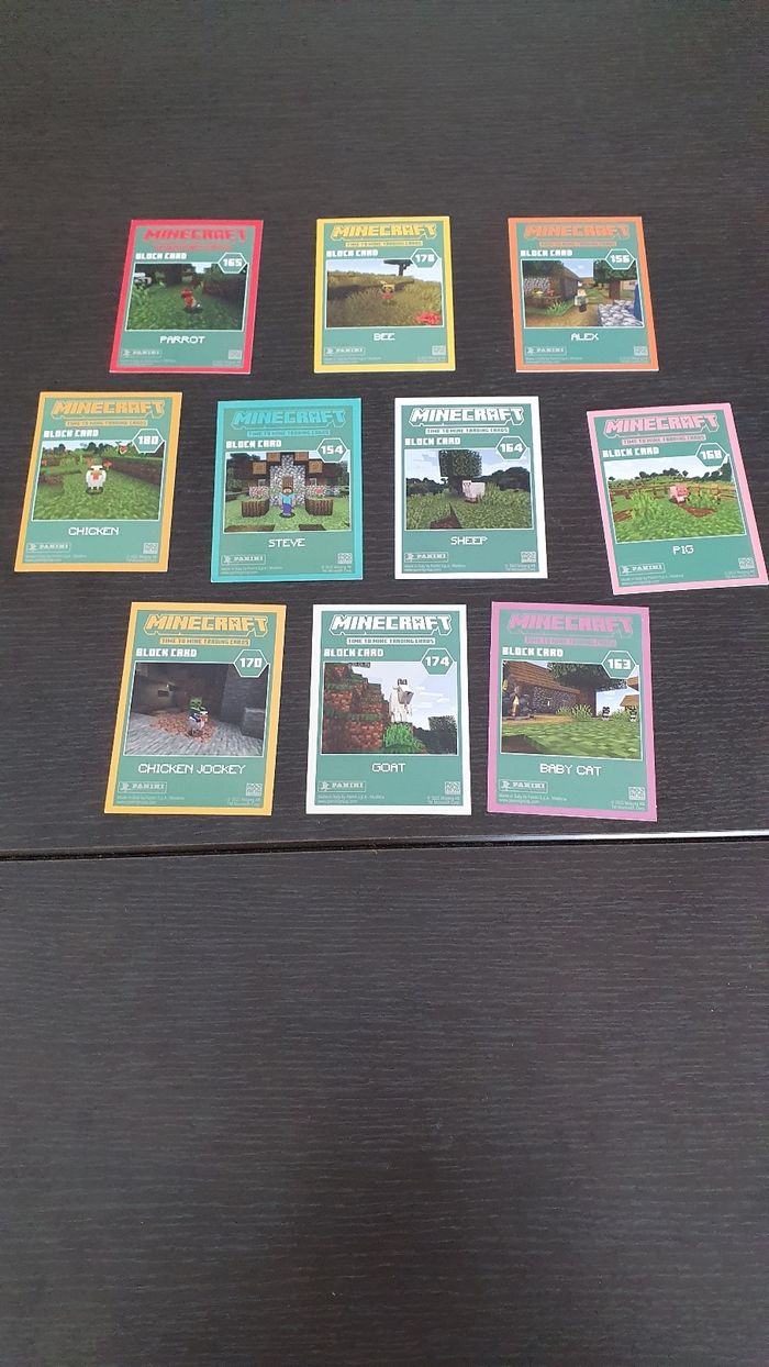 10 cartes Minecraft - photo numéro 2